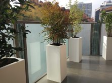 fotogallery